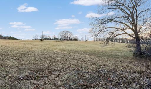 2359 Sago Rd - 98ac Farm