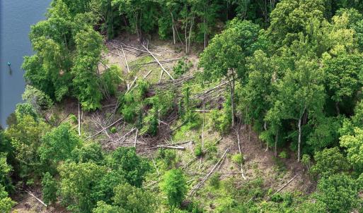 12-Lot 70 Washburn CT 12