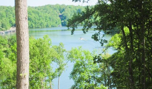 IMG_0294