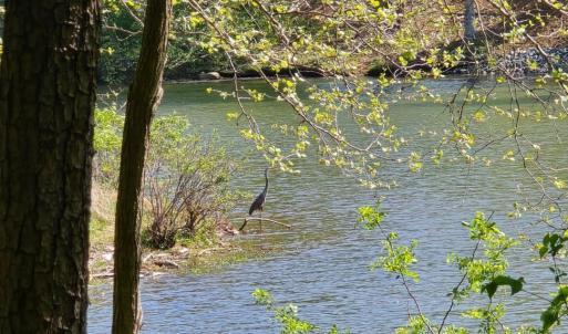 LOT 94 SERENE SETTING