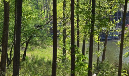 IMG_20250429_110319 (2)