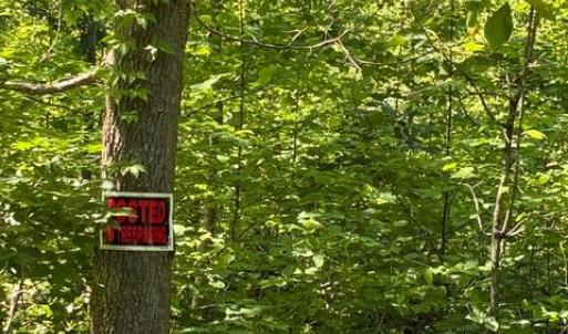 Photo #5 of KOVI RIDGE TRL, REVA, VA 10.3 acres