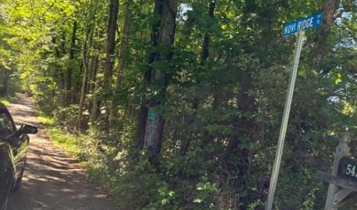 Photo #6 of KOVI RIDGE TRL, REVA, VA 10.3 acres