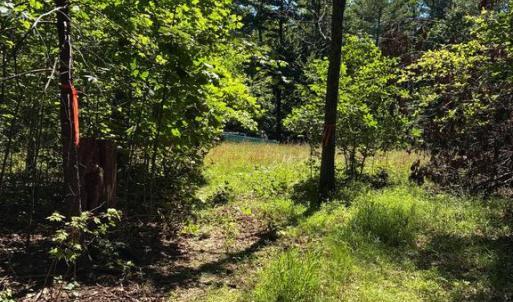 Photo #4 of KOVI RIDGE TRL, REVA, VA 10.3 acres