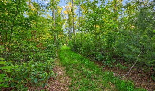 Photo #7 of KOVI RIDGE TRL, REVA, VA 10.3 acres