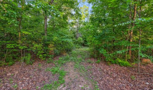 Photo #8 of KOVI RIDGE TRL, REVA, VA 10.3 acres