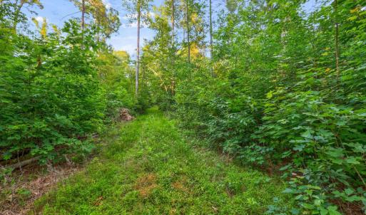 Photo #9 of KOVI RIDGE TRL, REVA, VA 10.3 acres