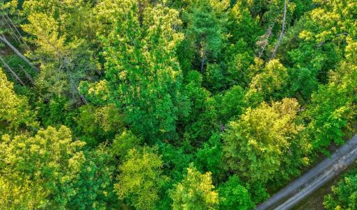 Photo #12 of KOVI RIDGE TRL, REVA, VA 10.3 acres