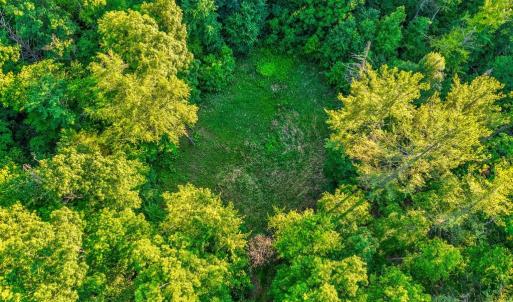 Photo #13 of KOVI RIDGE TRL, REVA, VA 10.3 acres