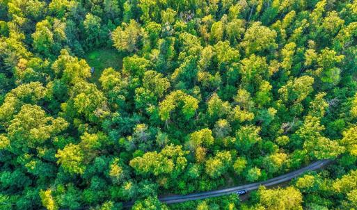 Photo #14 of KOVI RIDGE TRL, REVA, VA 10.3 acres