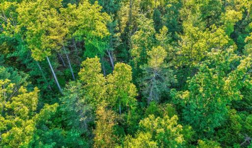 Photo #15 of KOVI RIDGE TRL, REVA, VA 10.3 acres