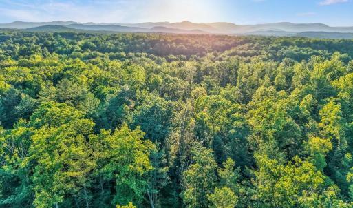 Photo #16 of KOVI RIDGE TRL, REVA, VA 10.3 acres