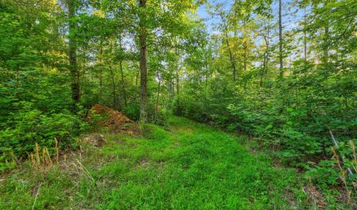 Photo #17 of KOVI RIDGE TRL, REVA, VA 10.3 acres