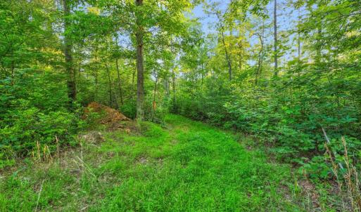 Photo #18 of KOVI RIDGE TRL, REVA, VA 10.3 acres