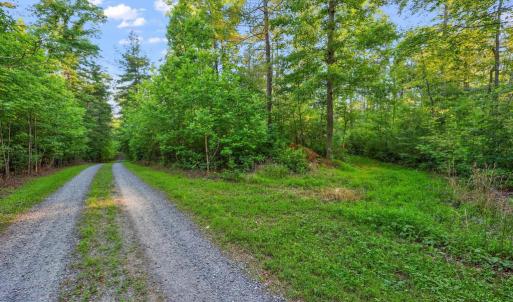 Photo #19 of KOVI RIDGE TRL, REVA, VA 10.3 acres