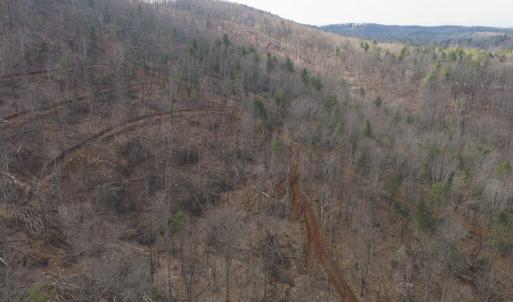 DJI_20260225112816_0361_D