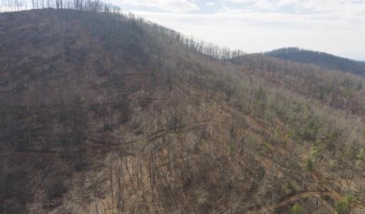 DJI_20260225112936_0362_D