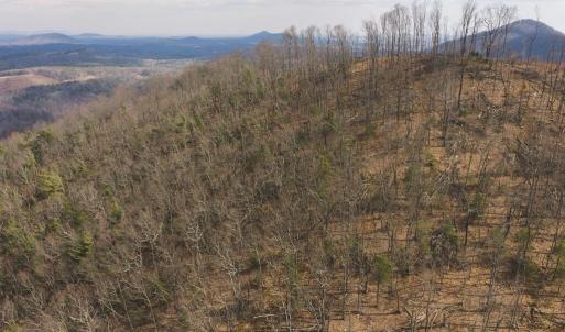 DJI_20260225113330_0374_D