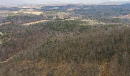 DJI_20260225113401_0376_D