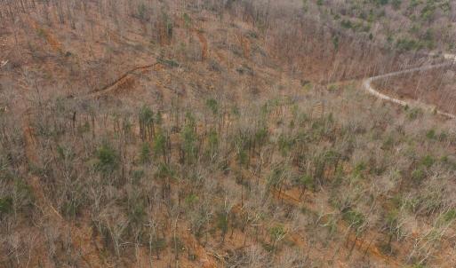 DJI_20260225113427_0377_D