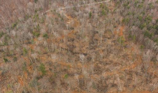 DJI_20260225113436_0378_D