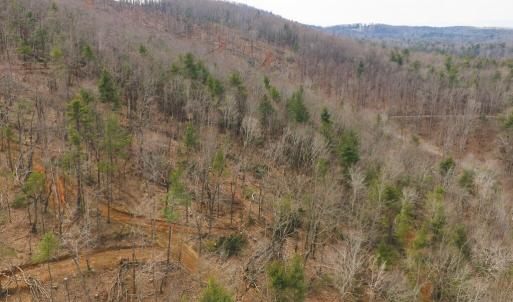 DJI_20260225113534_0380_D