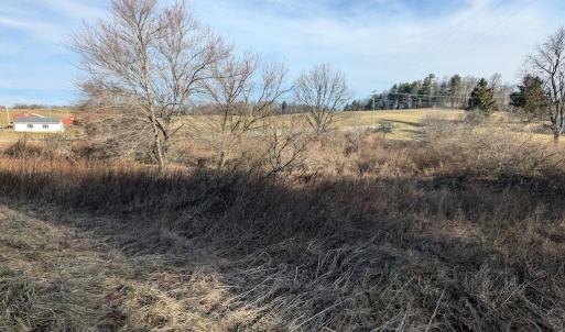 PXL_20260306_134549788