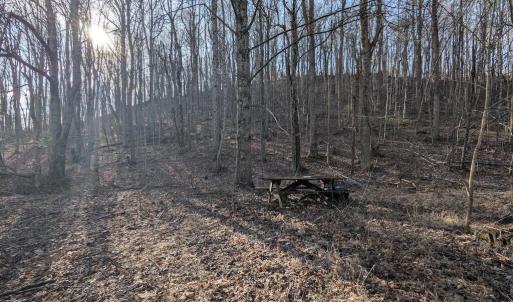 PXL_20260306_135006276