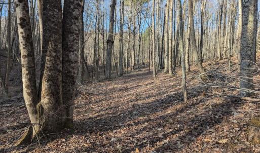 PXL_20260306_135131749