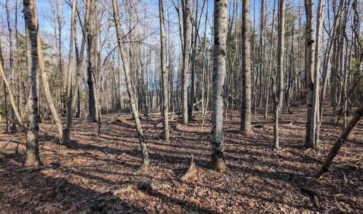 PXL_20260306_135225859