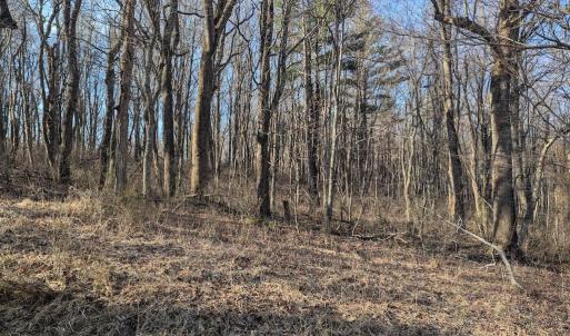 PXL_20260306_135459842