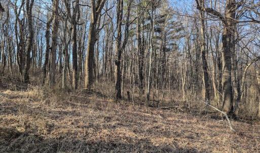 PXL_20260306_135501325