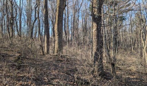 PXL_20260306_135518091