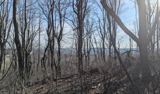 PXL_20260306_135624485