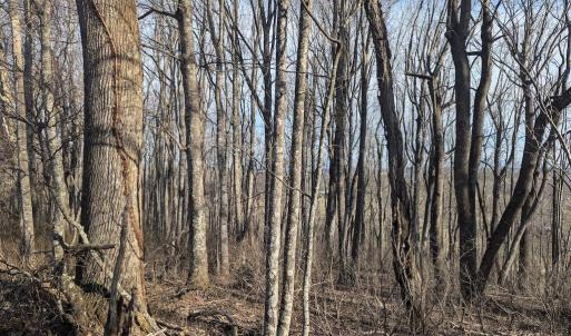 PXL_20260306_135632637