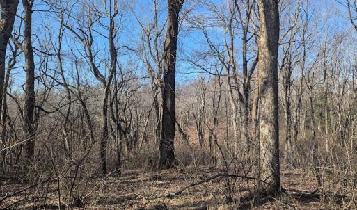 PXL_20260306_140012733