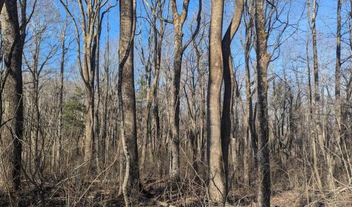 PXL_20260306_140058575