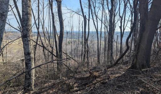 PXL_20260306_141449767