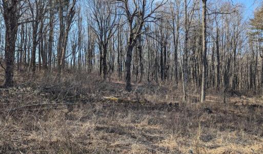 PXL_20260306_141904587