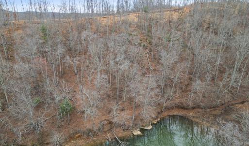 View of Lot + Community Walking Path