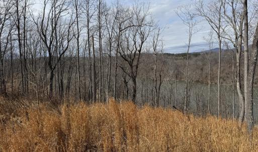 Ground View of Mountains