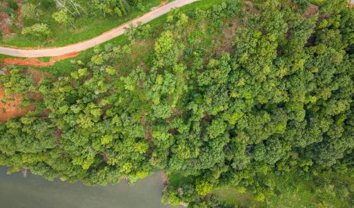 Aerial Summer View 1