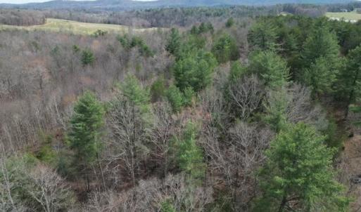 Wooded Acreage