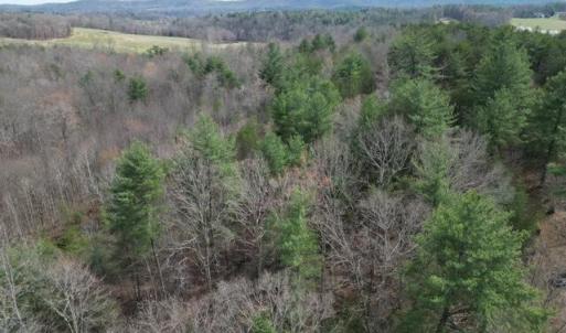 Wooded Acreage
