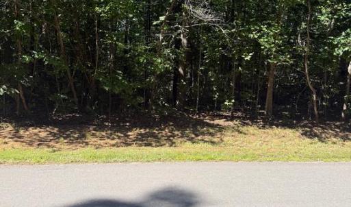 Photo #3 of 6715 WATER VIEW LN, MINERAL, VA 2.0 acres