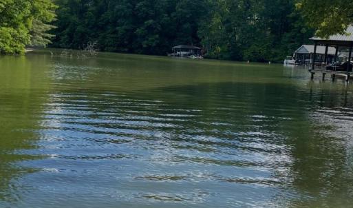 bridgewater pic 6 tracy