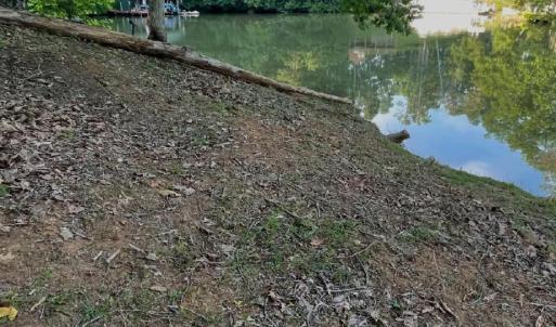 bridgewater pic 2 tracy