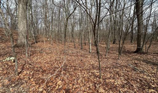 2-Wooded Acreage