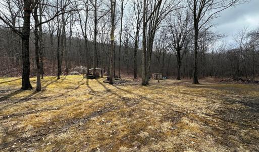 5-Front Yard
