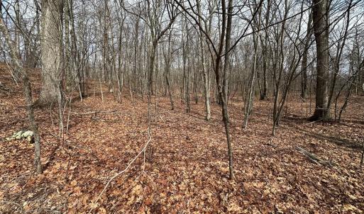 2-Wooded Acreage